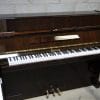 calisia used piano