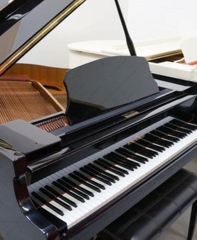 expert repair and restoration services