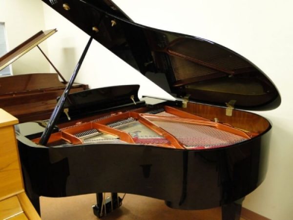 hoffmann and kuhne baby grand sale