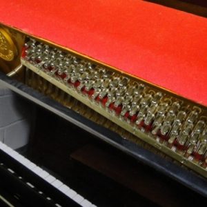 kranich and bach piano sale