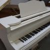 stegler baby grand piano