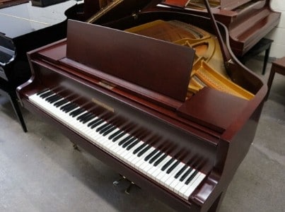 Piano Tune Maple